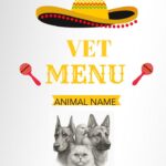 WhatsApp Image 2025-07-03 at 11.29.27_feef675a11